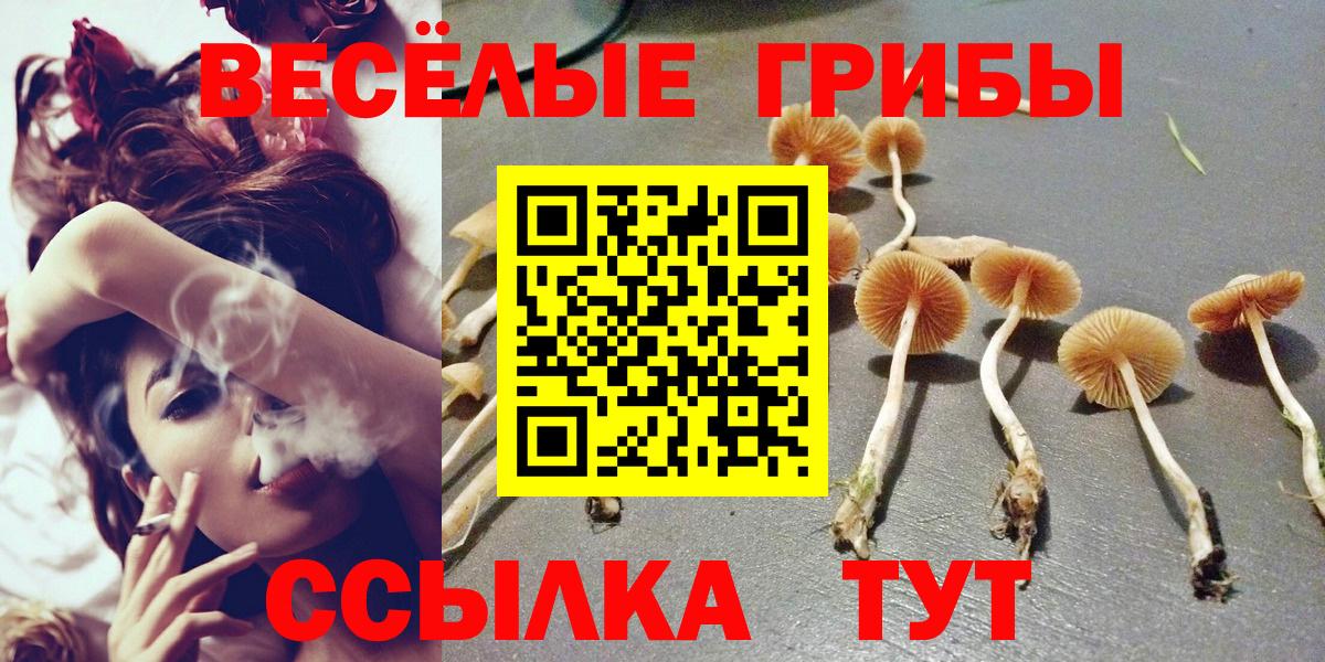 Касимов  Галлюциногенные грибы ЛСД  Вход с VPN 