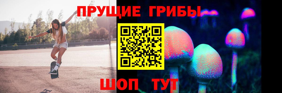 Псилоцибиновые грибы прущие грибы Касимов