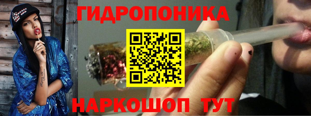Шишки марихуана Amnesia Касимов